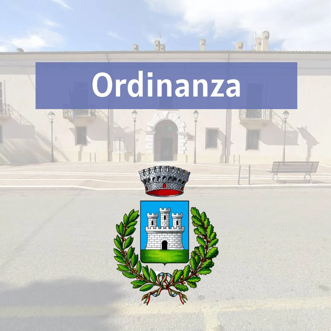 Ordinanza